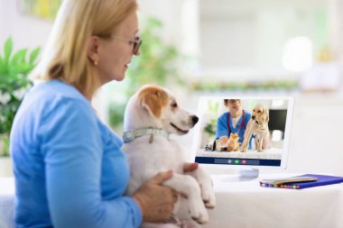 Veterinerle çevrimiçi danışmanlık. Veteriner görüntülü sohbet yoluyla hayvanı inceliyor. Karantina sırasında köpek kontrolü. Veteriner doktor, evcil hayvanı konferans çağrısında kontrol ediyor. Uzaktan ilaç ve acil yardım.
