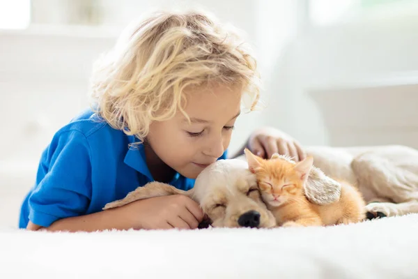 Enfant Jouant Avec Bebe Chien Et Chat Les Enfants Jouent Avec Le Chiot Et Le Chaton