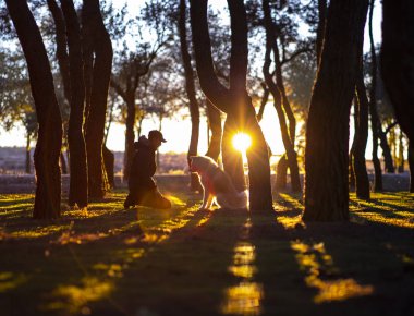 En el bosque con mi perro