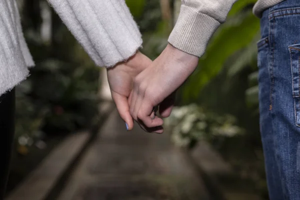 Birbirine Aşık Eller Hep Birlikte — Stok fotoğraf