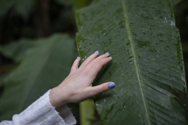 woman hands touching plants clipart