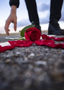 # Yol kenarında uzanan bir gülü kaldırmaya gidiyorum, aşkım #