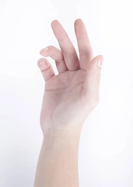 Manos Mujer Piel Clara Sobre Fondo Blanco Con Diferentes Poses —  Fotos de Stock