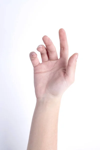 Manos Mujer Piel Clara Sobre Fondo Blanco Con Diferentes Poses —  Fotos de Stock