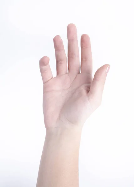 Легкі Шкірясті Руки Жінки Білому Тлі Різними Пози — стокове фото