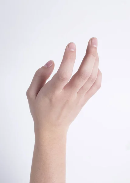 Manos Mujer Piel Clara Sobre Fondo Blanco Con Diferentes Poses —  Fotos de Stock