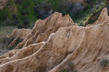 carcass of burujon landslide by rainwater