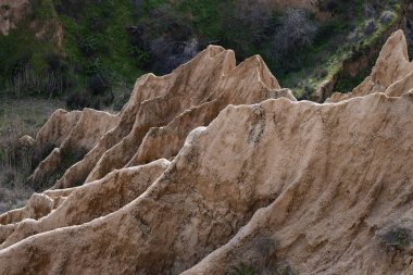 carcass of burujon landslide by rainwater