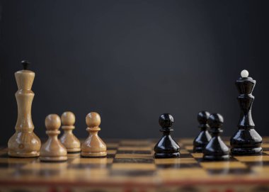 Satranç oyunu sadece bir kazanan olabilir.