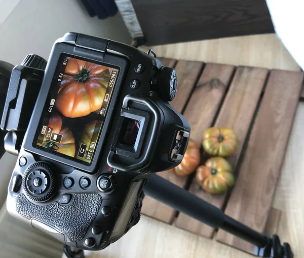 Stok fotoğrafçılığı için domates fotoğraflama