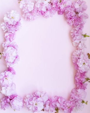 Çerçeve arkaplan çiçeklerle renk arkaplanı