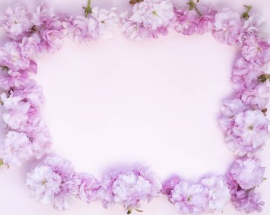 Çerçeve arkaplan çiçeklerle renk arkaplanı