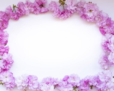 Pembe ve beyaz badem çiçekleri, bahar çiçekleri dalları, beyaz arka planda izole edilmiş kutu, üst manzara.