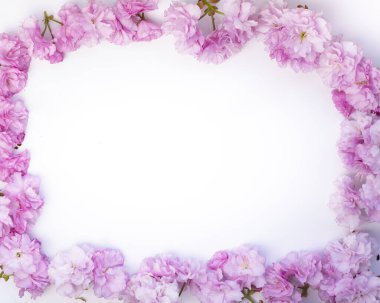 Pembe ve beyaz badem çiçekleri, bahar çiçekleri dalları, beyaz arka planda izole edilmiş kutu, üst manzara.