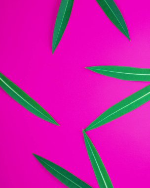 Pembe arkaplandaki palmiye yaprakları