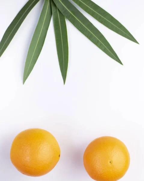 Composição Tropical Verão Folhas Palma Verde Frutas Tropicais Sobre Fundo — Fotografia de Stock