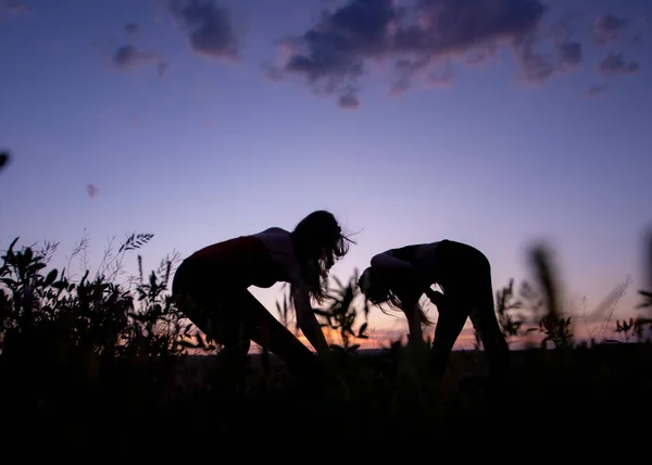 Αθλητές Δρομείς Τρέχουν Στο Ηλιοβασίλεμα Ηλιοβασίλεμα Σύννεφα Backlight — Φωτογραφία Αρχείου