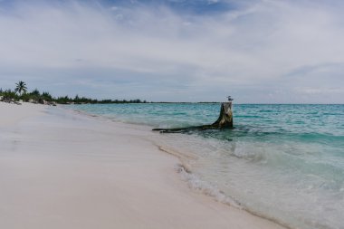 Karayip suları dışarı yapışmasını bir gerginliği kuş