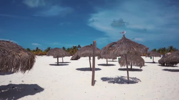 Paraplu's op het witte zandstrand strand van Cayo Largo, Cuba. Azuurblauwe water en wit zand. — Stockvideo