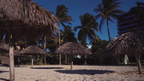 Sandy beach in Cuba — Stock Video