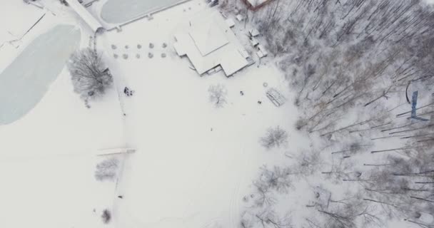 Vliegen over het besneeuwde forest. — Stockvideo