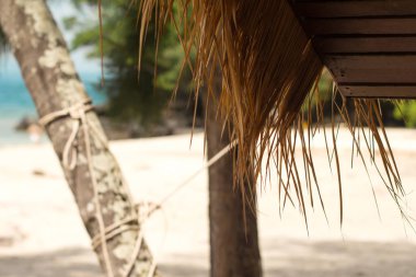 Phuket Adaları - Mercan Adası Koh o