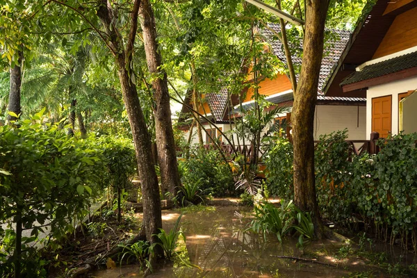 Bungalows se encuentran en las profundidades de la isla entre las selvas de Tailandia Koh He — Foto de Stock