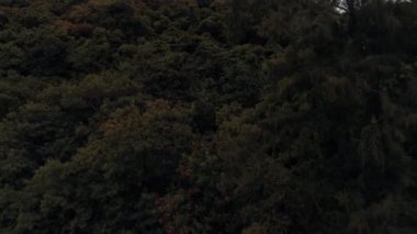 Tayland Mercan Adası uçak atış