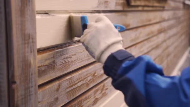 Peindre une maison Peintre Maison — Video