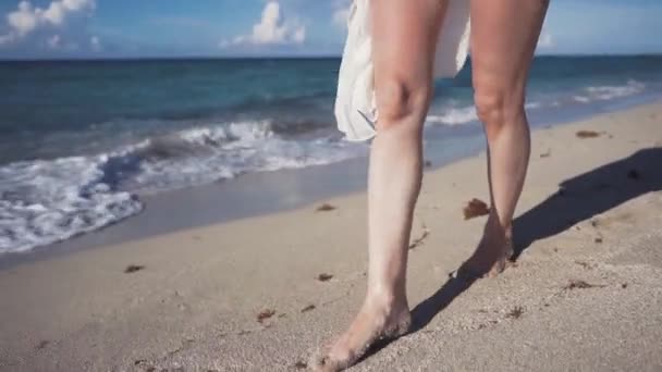 Ragazza, spiaggia, mare, vento tra i capelli — Video Stock