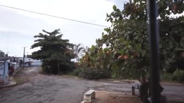 Ormanın içinden araba seyahat