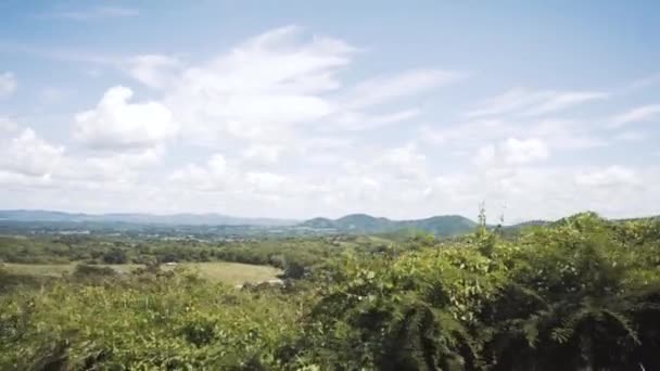 정글을 통해 자동차 여행 — 비디오