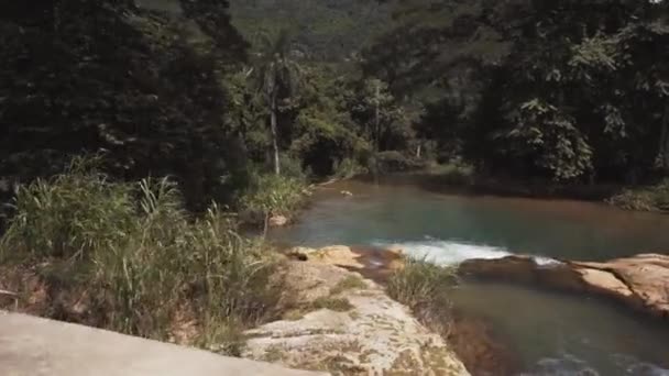 Путешествие на машине по джунглям — стоковое видео