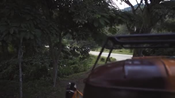 Resa med bil genom djungeln — Stockvideo
