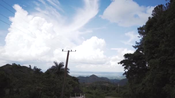 Car travel through the jungle — Stock Video