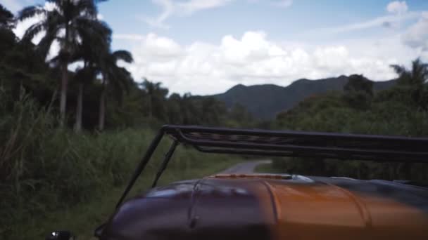 Car travel through the jungle — Stock Video