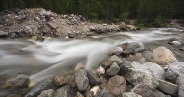 Arshan Mountain River Water in a mountain river like foam, long exposure. Timelapse. — Stock Video