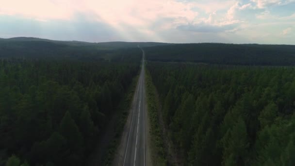 AERIAL, TOP DOWN: Dunkles Auto fährt an einem sonnigen Sommertag eine asphaltierte Straße hinunter, die durch den riesigen Wald führt. — Stockvideo