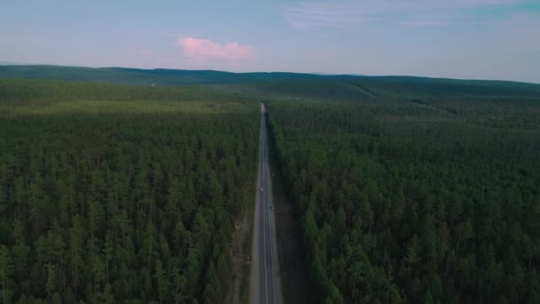 AERIAL, TOP DOWN: Dark colored car driving down an asphalt road crossing the vast forest on a sunny summer day. — Stock Video