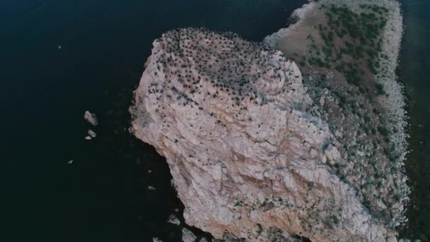 An island with cormorants on Lake Baikal. Shooting from the drone. Aerial photography. — Stock Video