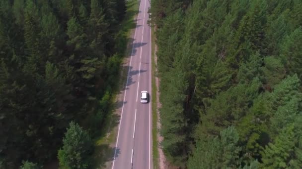 AERIAL Dunkles Auto fährt an einem sonnigen Sommertag eine asphaltierte Straße hinunter, die durch den riesigen Wald führt. — Stockvideo