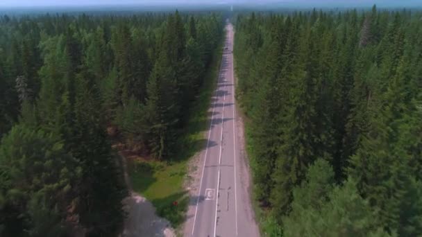 AERIAL Dark Colored car driving down an asphalt road crossing the vast forest on a sunny summer day . — стоковое видео