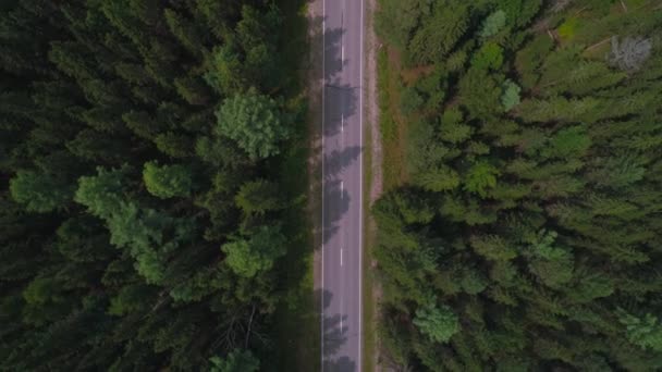 AERIAL Dunkles Auto fährt an einem sonnigen Sommertag eine asphaltierte Straße hinunter, die durch den riesigen Wald führt. — Stockvideo