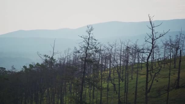 Όμορφη θέα της λίμνης της φύσης Baikal. Φύση της Ρωσίας. Καλοκαιρινές διακοπές. Νήσος Όλκον, Χωριό Χατζίρ, Ροκ Σαμάνκα. — Αρχείο Βίντεο