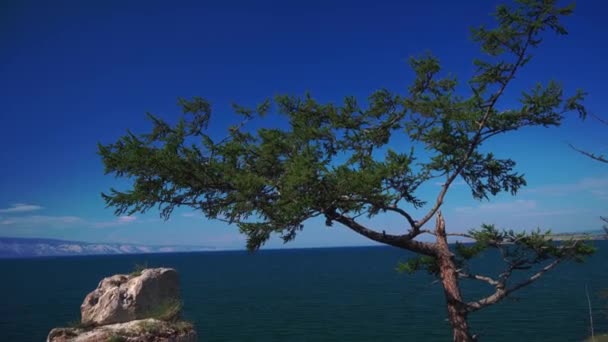 Naturen av sjön Baikal — Stockvideo