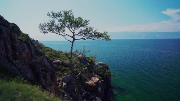 Природа озера Байкал — стокове відео