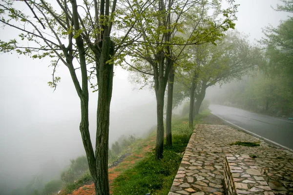 Estrada e pedestre caminho de pedra em tempo nebuloso — Fotografia de Stock