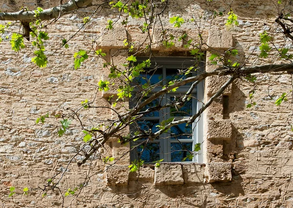 Ventana Antigua Pared Piedra Ramas — Foto de Stock