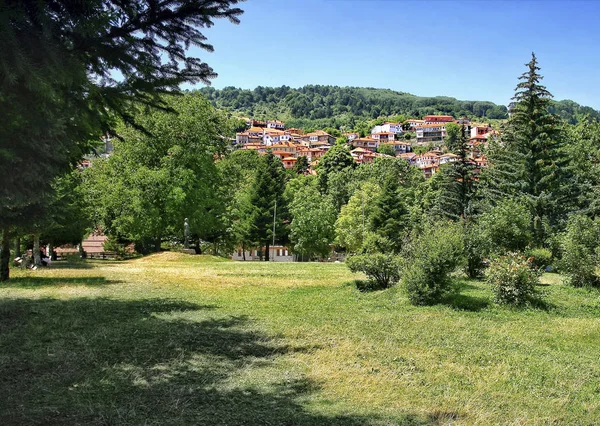 View of the park and part of Metsovo. A mountainous village in Epirus. Greece