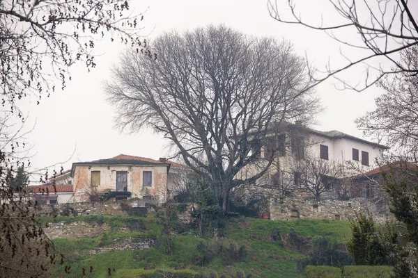 Houses Millies Village Magnesia Pelion Mountain Greece — Stock Photo, Image